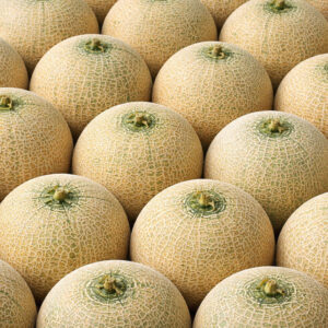 Muskmelon-1024x1024