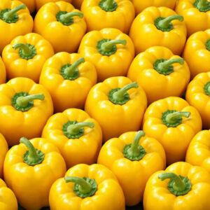Yellow-Capsicum-1024x1024